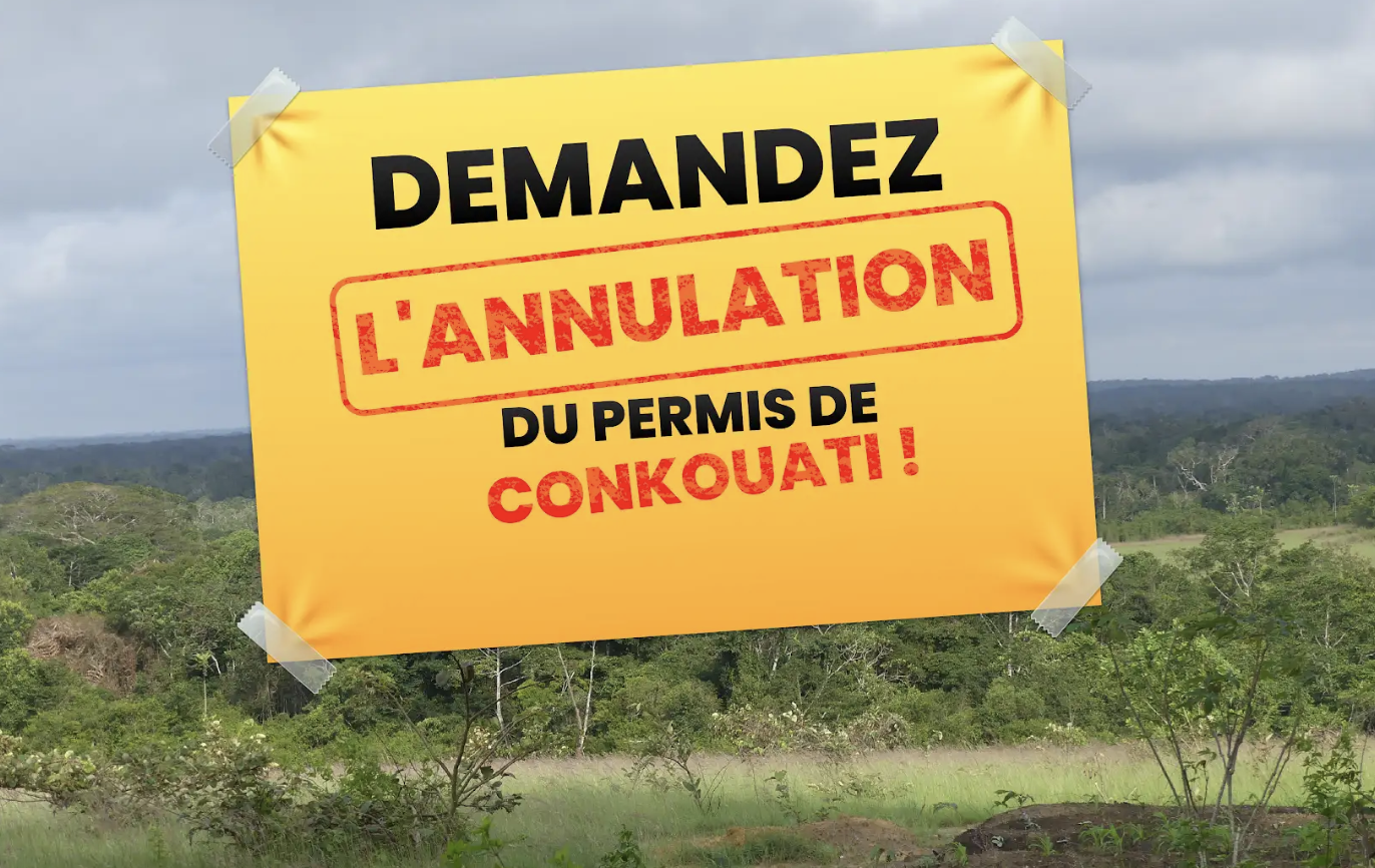 french-conkouati-pet-greenpeace