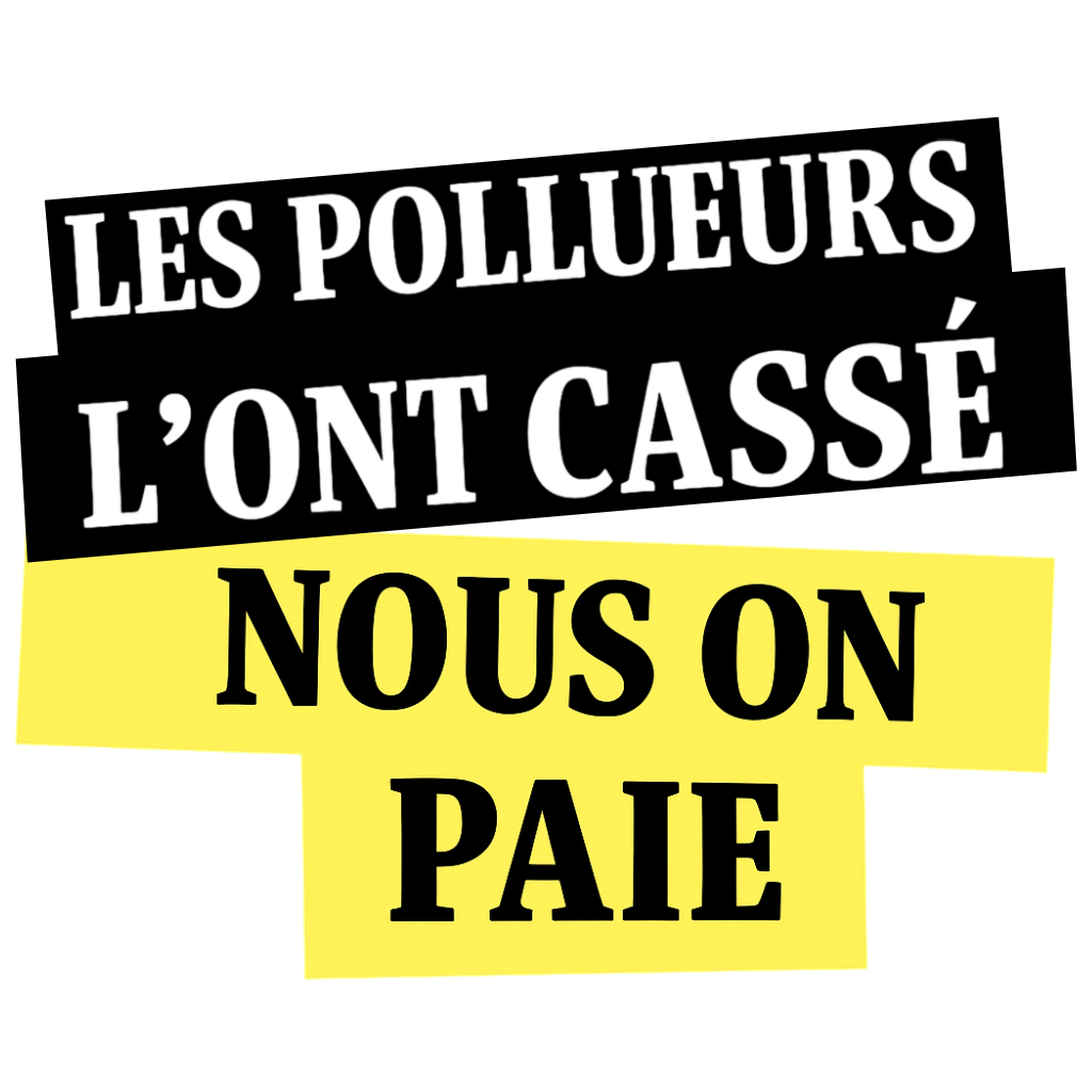 Polluters Pay